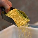 Gold is trading at record levels. Why it might hit $5,000 an ounce