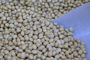 U.S.-China soybean tussle reveals Beijing’s food security strategy. Goldman Sachs on how to invest